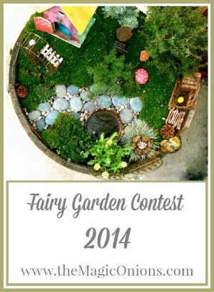 The Magic Onions Fairy Garden Competition